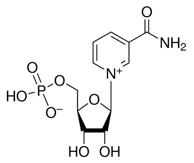 nmn structure