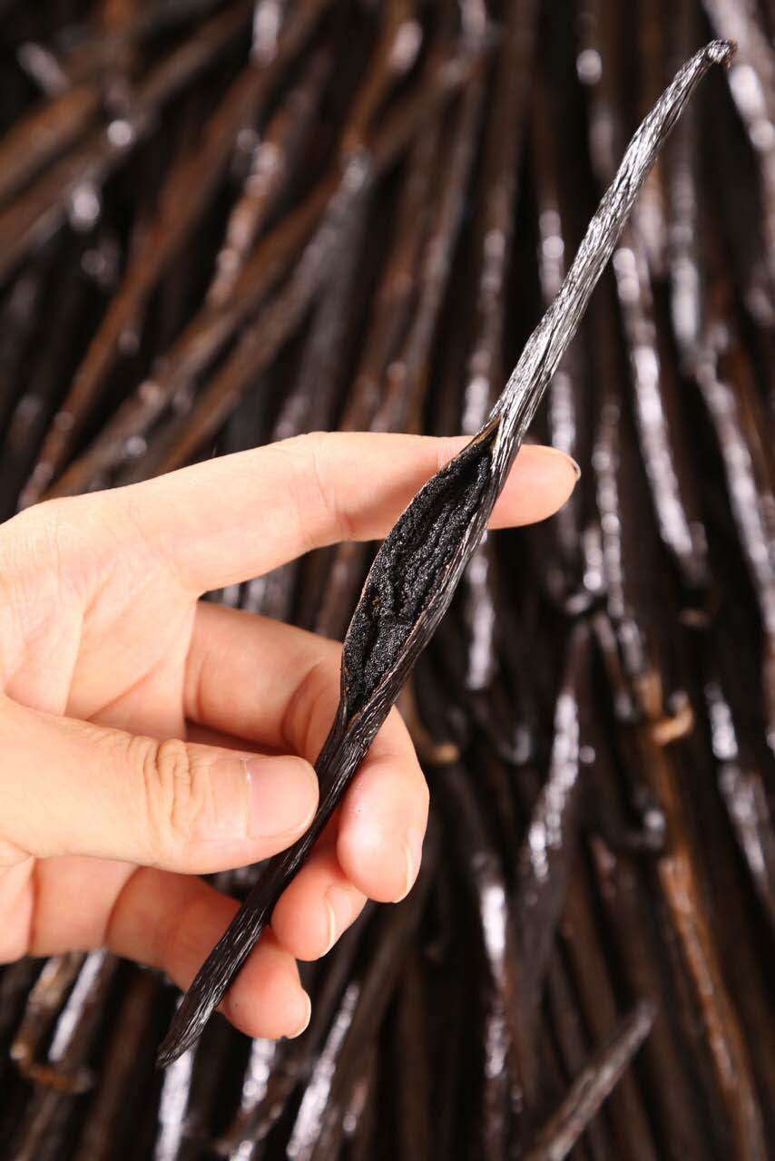 Vanilla Bean 100% Natural 