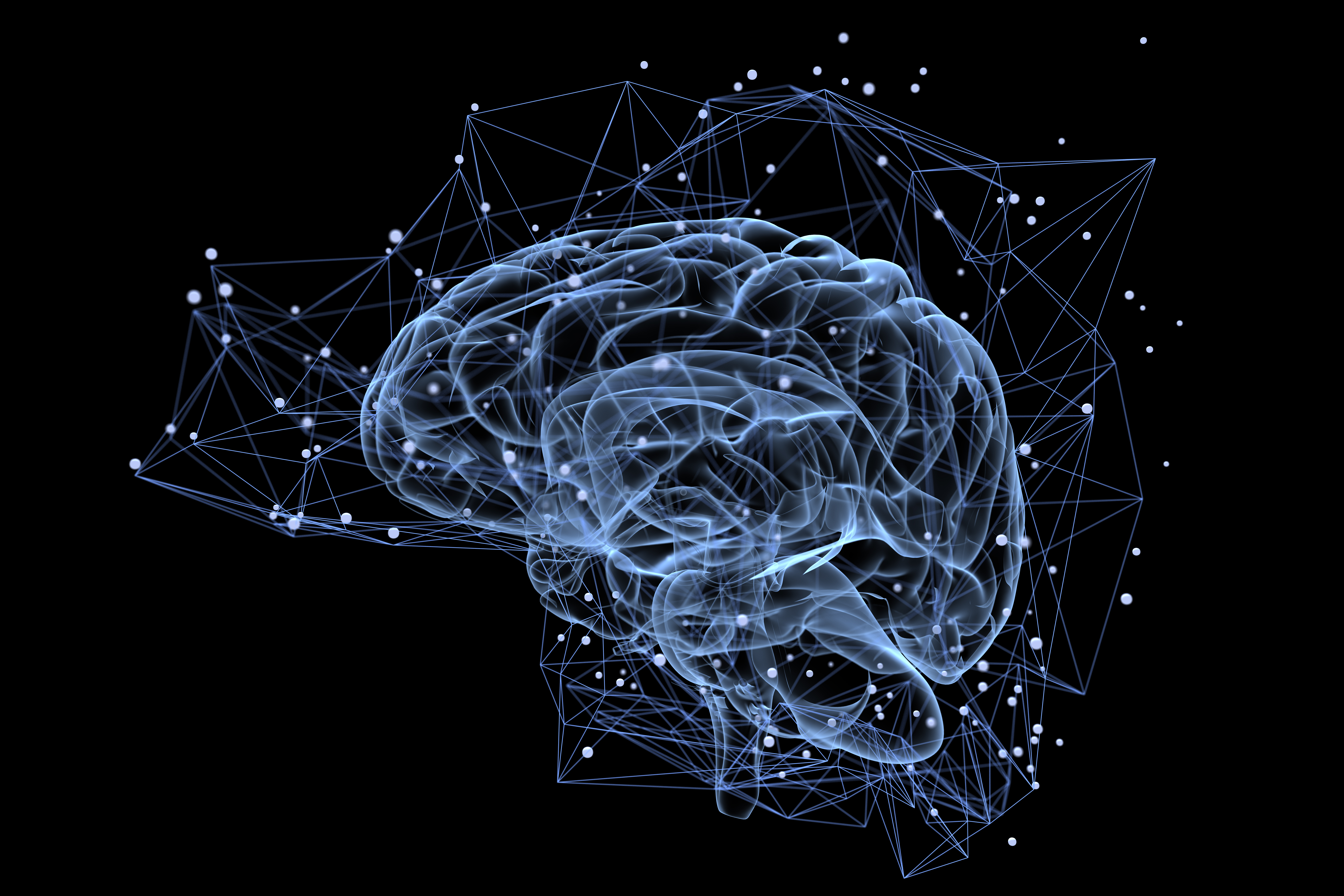 Alpha GPC - A Natural Source Of The Nutrient Choline